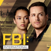 Gaijin - FBI: International