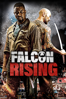 Falcon Rising - Ernie Barbarash