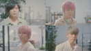 Love Story - NEWS