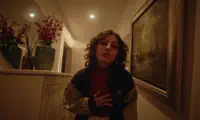CAES E GATOS