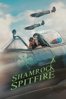 The Shamrock Spitfire - Ian Higgins & Dominic Higgins