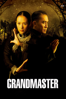 The Grandmaster - Kar-Wai Wong