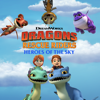 Dragons Rescue Riders: Heroes of the Sky, Season 3 - Dragons Rescue Riders: Heroes of the Sky