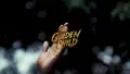 Golden Child