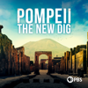 Pompeii: The New Dig, Season 1 - Pompeii: The New Dig