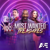 WCW - WWE's Most Wanted Treasures Cover Art