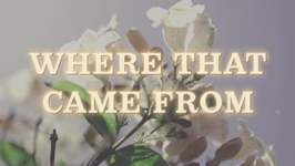 Where That Came From (Lyric Video) - Randy Travis Cover Art