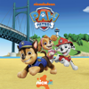 Air Rescue: Pups Save the Airport Opening - PAW Patrol