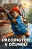 Paddington in Peru - Dougal WIlson