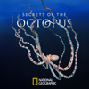 Secrets of the Octopus, Season 1 - Secrets of the Octopus Cover Art