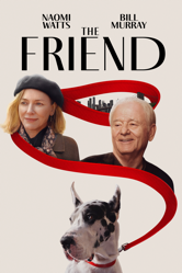 The Friend - Scott McGehee &amp; David Siegel Cover Art