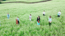 A song for Jeju - GENA