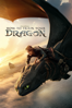 Dean Deblois - How to Train Your Dragon (2025)  artwork