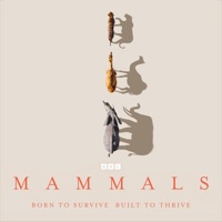 Mammals