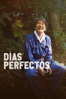 Días perfectos - Wim Wenders