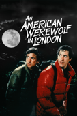 An American Werewolf in London (1981) - John Landis Cover Art