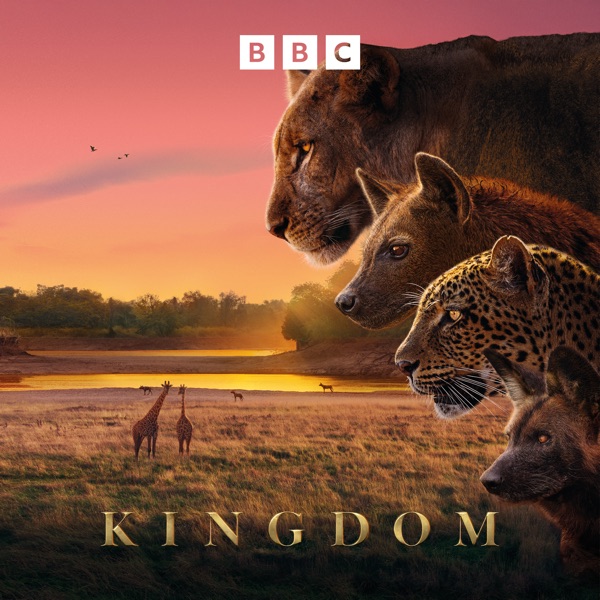 Kingdom
