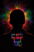 Enter the Void