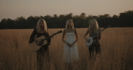 Sheltered - The Castellows