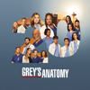 Grey's Anatomy - Ce n'est que le début  artwork
