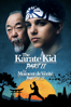 The Karate Kid II - John G. Avildsen