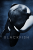 Blackfish - Gabriela Cowperthwaite
