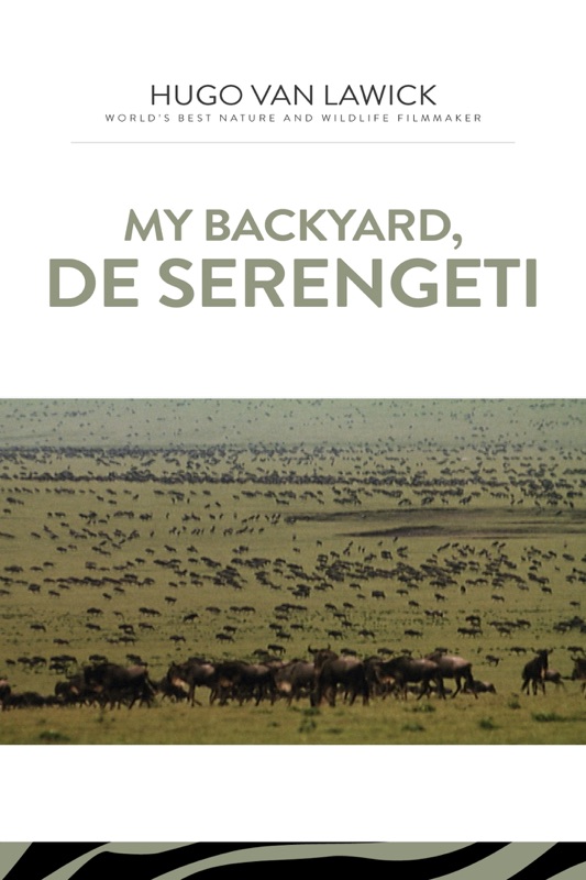 My Backyard, The Serengeti