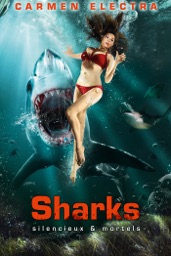 Sharks Silencieux & Mortels
