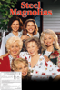 Steel Magnolias - Herbert Ross