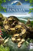 Weltnaturerbe Panama: La Amistad Nationalpark
