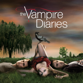 The Vampire Diaries, Season 1 - The Vampire Diaries Cover Art