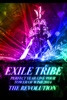 EXILE TRIBE PERFECT YEAR LIVE TOUR TOWER OF WISH 2014 ~THE REVOLUTION~