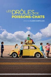 Les drôles de poissons-chats