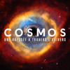 Les molécules en action - Cosmos
