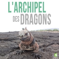 Télécharger L'archipel des dragons Episode 1