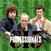 Rogue - The Professionals