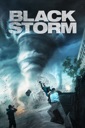 Affiche du film Black Storm