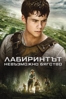 The Maze Runner - Wes Ball