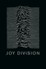 Joy Division - Grant Gee