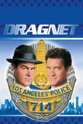 Dragnet (1987)