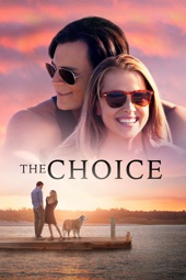 Poster for The Choice by Ross Katz