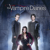 The Vampire Diaries, Season 4 - The Vampire Diaries Cover Art