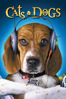 Cats & Dogs - Lawrence Guterman new Single