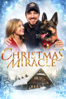 Christmas Miracle (2014) - Joel Paul Reisig