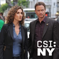 CSI: NY, Season 6