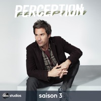 Télécharger Perception, Saison 3 (VOST) Episode 15