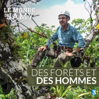 Télécharger Le monde de Jamy : Des forêts et des hommes Episode 1