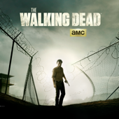 The Walking Dead, Season 4 - The Walking Dead Cover Art