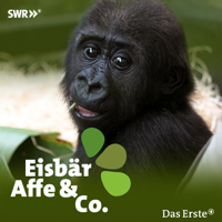 Eisbär, Affe & Co. - Eisbär, Affe & Co. – Wunderbare Wilhelma artwork