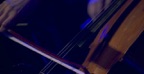 Losing You (Live At Jazz à Vienne)